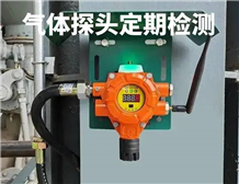 GB 12358-2024《作業(yè)場所環(huán)境氣體檢測報警儀器 通用技術(shù)要求》更新